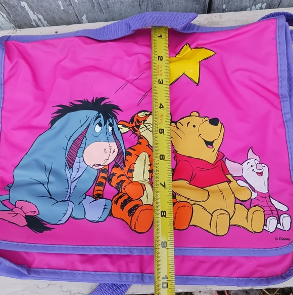Disney Winnie The Pooh Plastic Crossbody Satchel Bag Pink School Everyday Casual - Picture 2 of 15